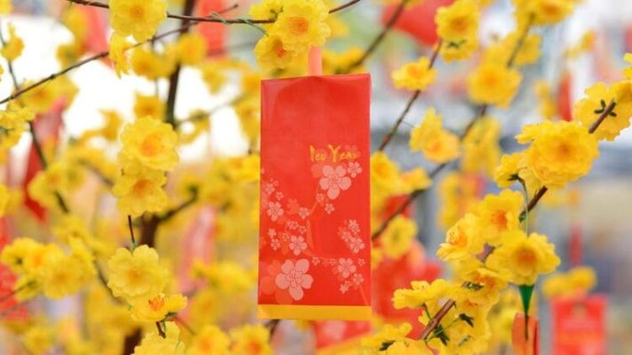 tet-nguyen-dan-la-gi (3)